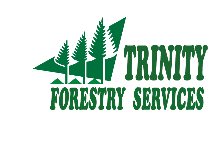 https://trinityforestry.org/wp-content/uploads/2021/09/trinity.png
