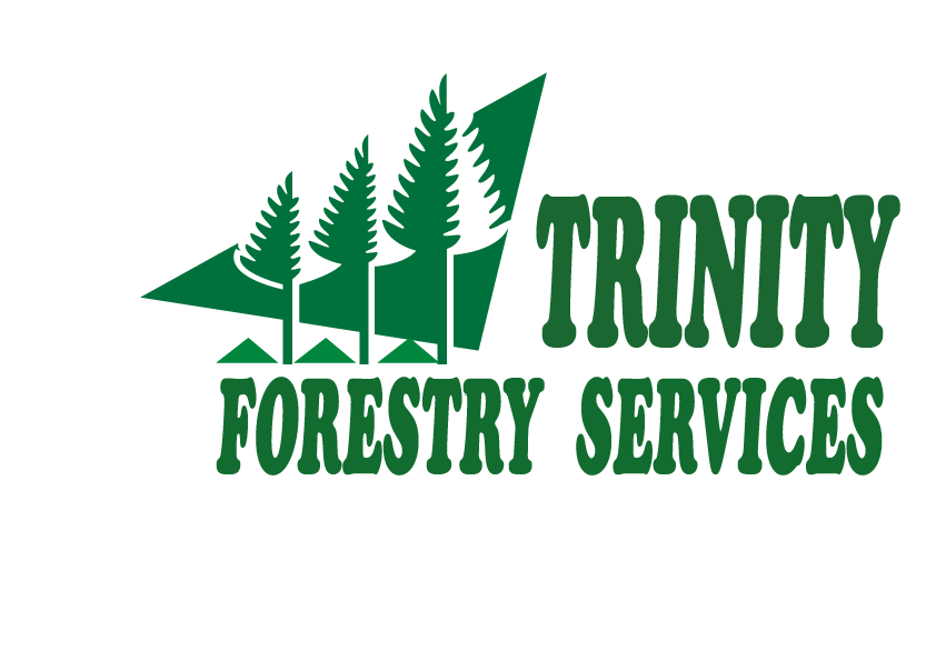 Trinity Forestry Services